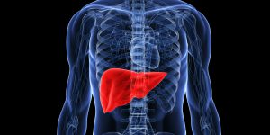 Illustration for article titled Obat liver tradisional paling mujarab